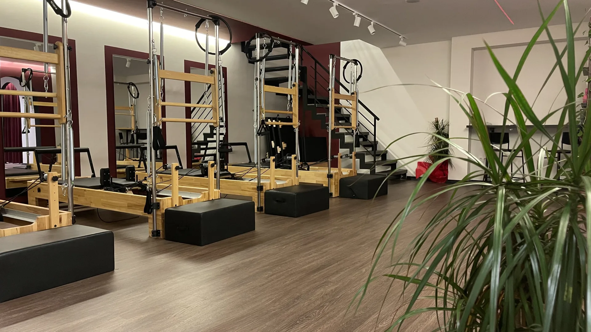 Moya Fit franchise stüdyo iç tasarım